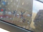 20171020_155254.jpg
