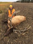 Jon's ND Elk2 2017.jpg