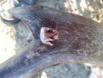 20171007_083502.jpg