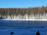 20171015_081716.jpg