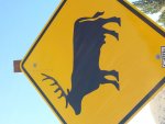 20170706_163049.jpg
