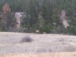 20171031_173616.jpg
