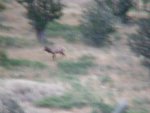 DSCF6808.jpg