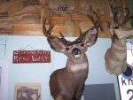 Dad's Buck Mount 016.jpg