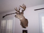Dad's Malibu Buck 001.jpg