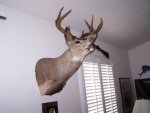 Dad's Malibu Buck 002.jpg