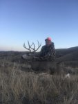 2017 deer.jpg