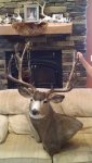 IMG_20170723_180912550.jpg
