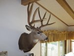 IMG_1166tr.jpg