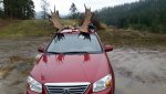 20171116_083713.jpg