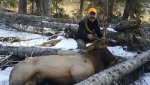 elk 2017 2.jpg