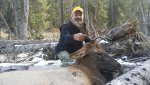 elk 2017 3.jpg