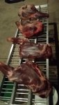 meat 1.jpg
