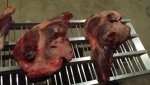 meat 2.jpg