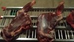 meat 3.jpg