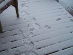 2017-18 1st Winter Snow 003.jpg