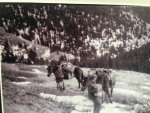 Elk hunt 1954 alberta .jpg