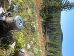 IMG_1590.jpg
