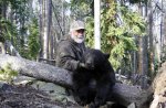 BearJune2016.jpg