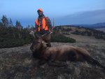 Elk.jpg
