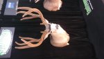 20180302_094056.jpg
