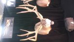 20180302_094114.jpg