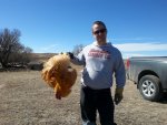 20180303_125126.jpg