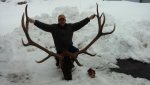 The Big Bull 2018.jpg