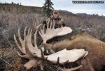 Bob-Condon-giant-moose-profile-11.jpg