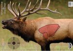 elk-target.jpg