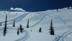 20180419_122904.jpg