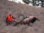 2Elk.jpg
