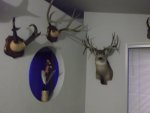 DSCF0431.jpg