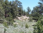 20180602_125153.jpg