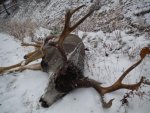 DSCF1668.jpg