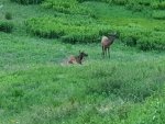 20180621_203258.jpg