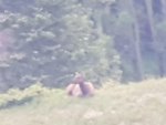 20180622_063022.jpg