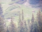 20180622_062545.jpg