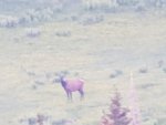 20180621_191443.jpg