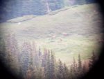 20180622_061720.jpg