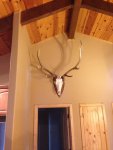 IMG_1512.jpg