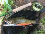 IMG-20180706-WA0017.jpg