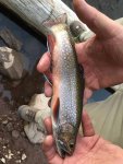 IMG-20180706-WA0013.jpg