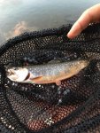 IMG-20180706-WA0015.jpg