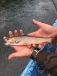 IMG-20180706-WA0019.jpg