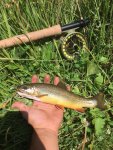 IMG-20180706-WA0022.jpg