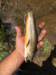 IMG-20180706-WA0021.jpg