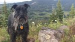 20180707_175634.jpg