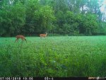 IMG_0905.jpg