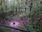 20180905_070339.jpg